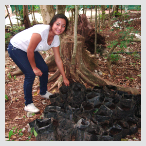 Reforestación y Vivero Forestal