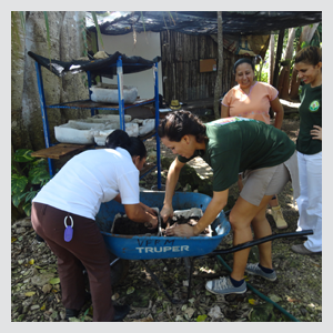 Reforestation in Riviera Maya