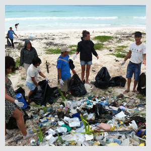 Beach Cleaning