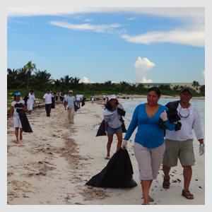 Beach Cleaning