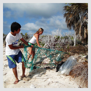 Beach Cleaning