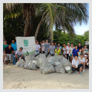 Beach Cleaning