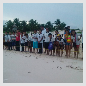 Sea Turtle Hatchling Release